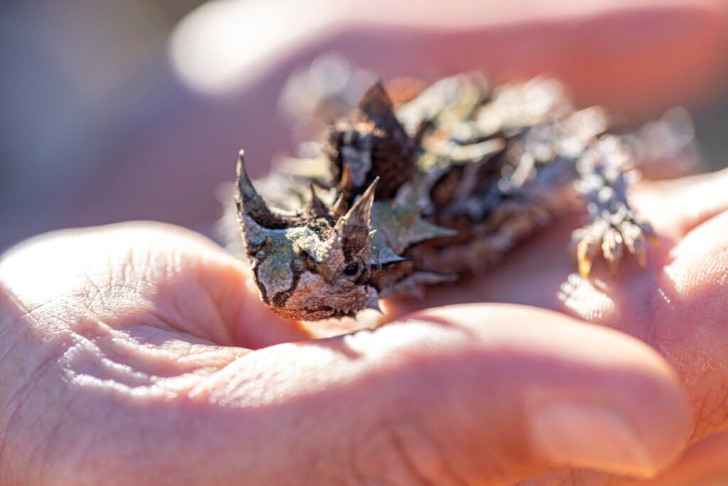 2O8A1082-EDIT-scaled