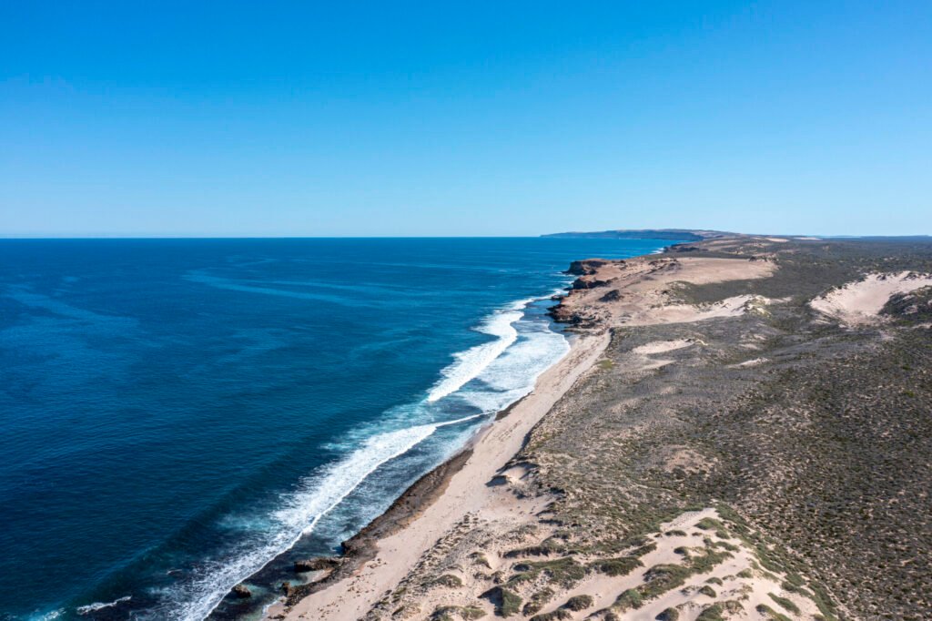 DJI_0901-EDIT-scaled